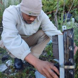 Setting up a camera trap